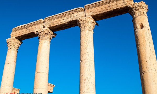 20511516429 a10effd2e8 o