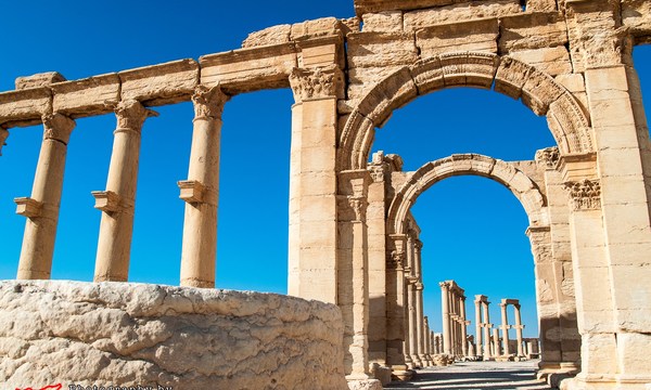 20511555209 0fbb420428 o