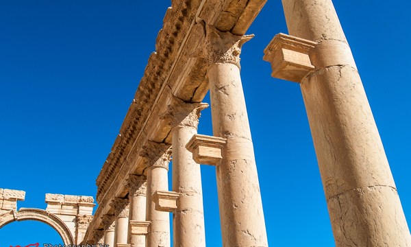 20511580129 de8d43b11a o