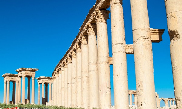 20511593459 e320d2eee8 o