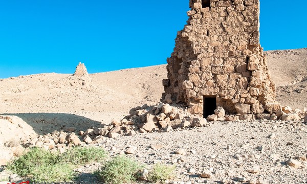 19276700129 0336749111 o tomb