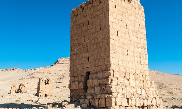 19276800019 f1b8dbcc39 o tomb