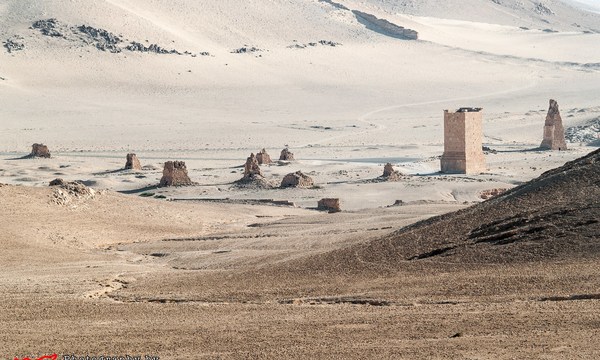 18840488444 3398790f2e o tomb