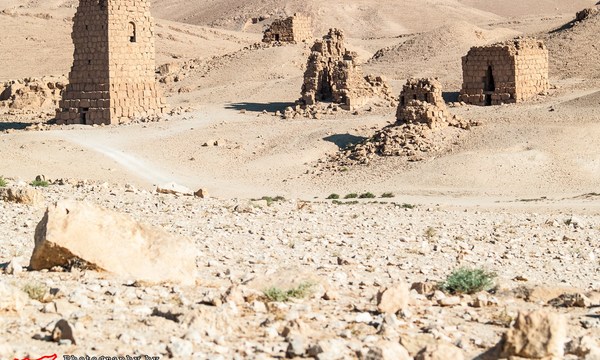 18842287773 fdc6839c49 o tomb