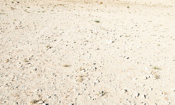 19436682806 681300bd51 o tomb