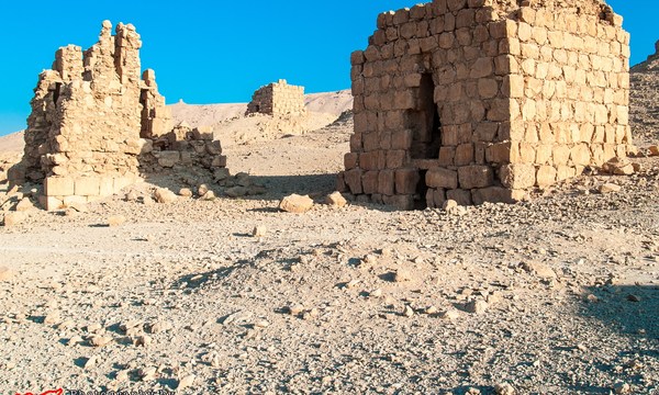 19436732576 ca0541b1b3 o tomb