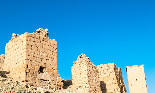 19437089176 338036aab5 o tomb