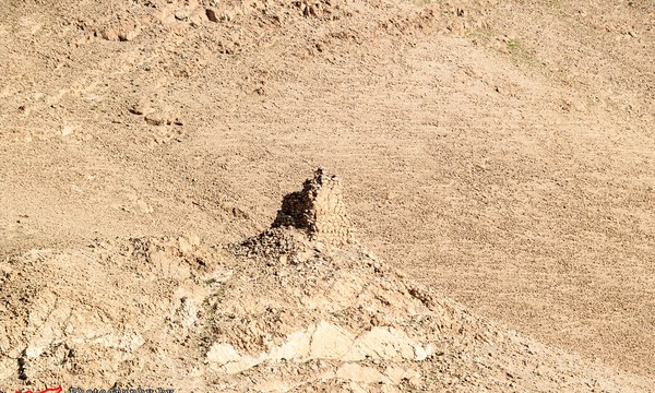 19437169666 1c65b0d390 o tomb