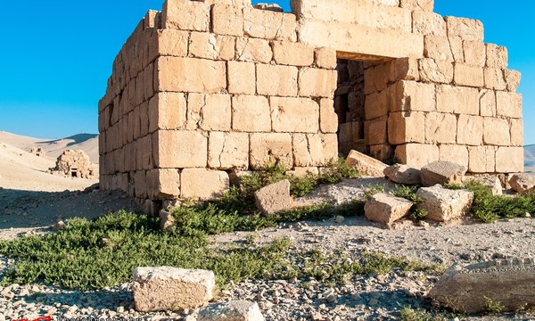 19456647812 389c656317 o tomb