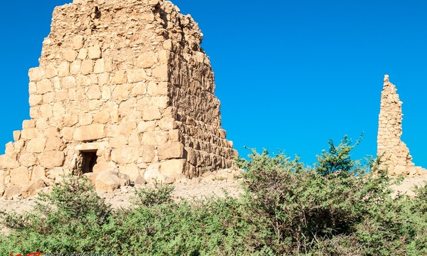 19462807985 f851ef4769 o tomb