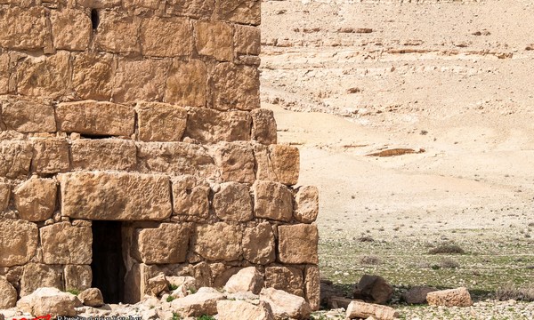 19463285995 97e80c455a o tomb