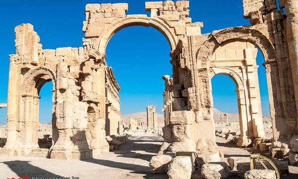 20058138069 3c844f45dc o