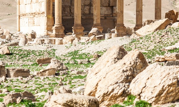 20369756670 44421101f0 o funerary