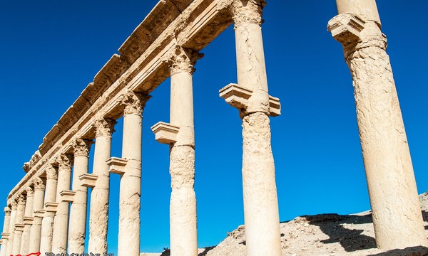 20689060922 70917c360d o