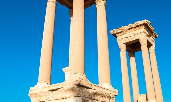 20122967449 663157c1f6 o