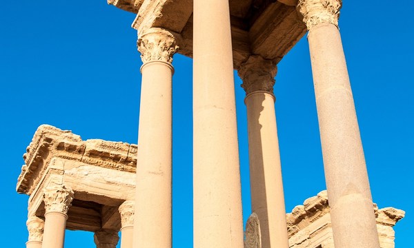 20283333946 5b4bfe520b o