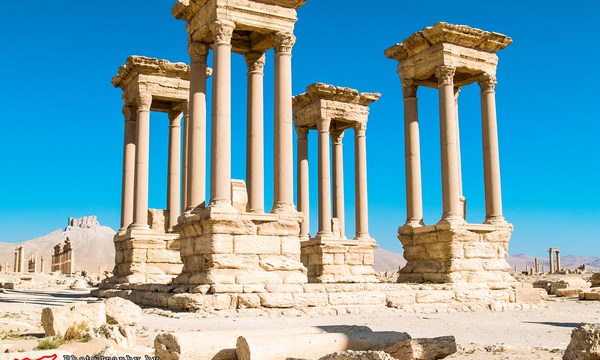 20301164102 02e19415d2 o