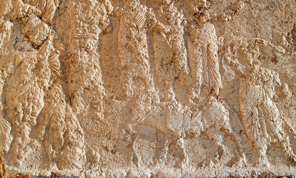 19518198080 86c39cbd2b o bel