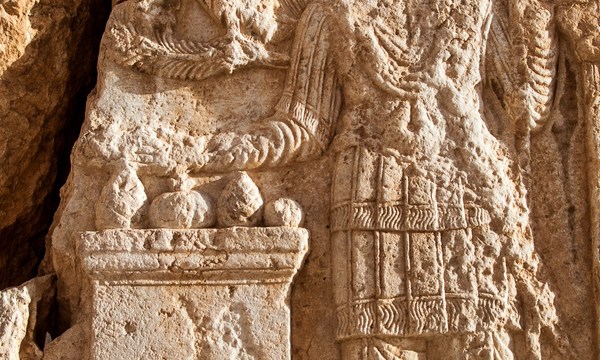 19519583079 9fc77d2347 o tbel