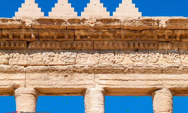 19519714629 466f27c898 o bel