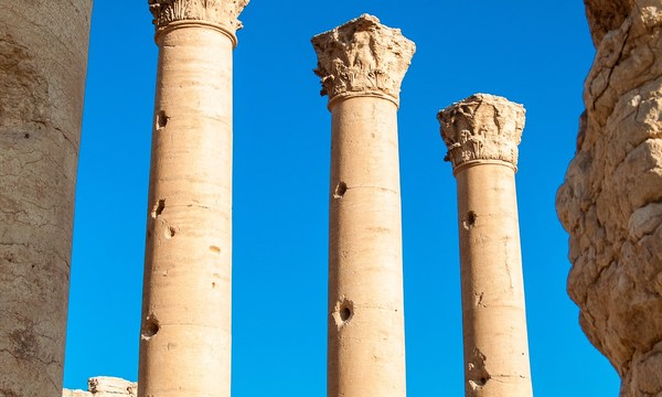 19083605504 37c7fe8a35 o bel