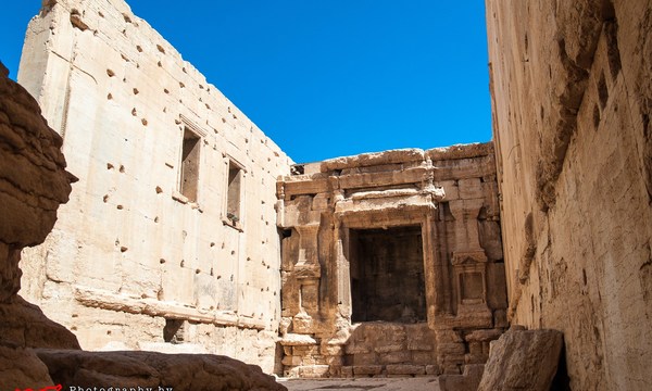 19518361260 9390ee6a85 o