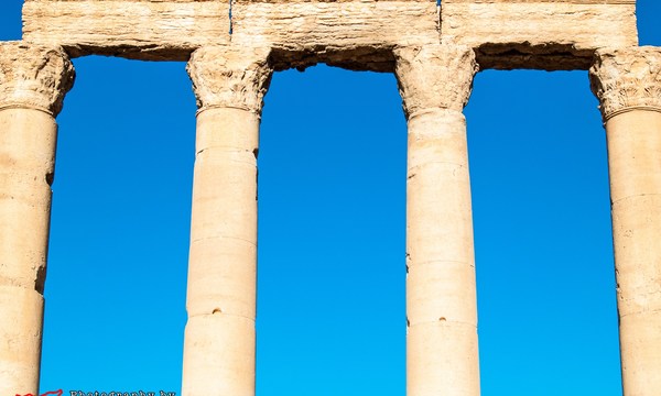 19699012922 8c44abfbfa o bel