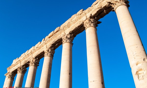 19710827261 65aeb90fd4 o bel