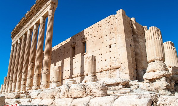 19083709984 6c6f875672 o