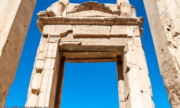 19083776004 30b33635c2 o