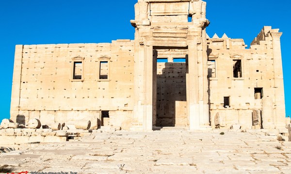 19518203878 a0c89c6503 o