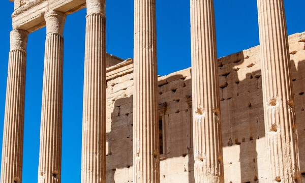 19518273948 f771c15fd2 o