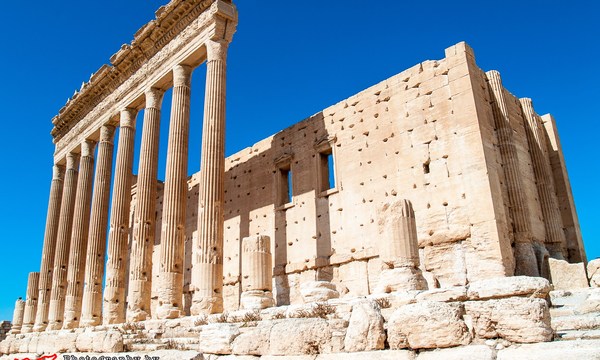 19699130152 4358642058 o