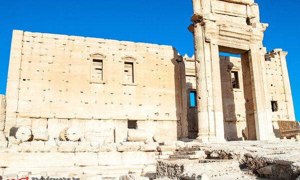 19706208505 06fb62ce97 o