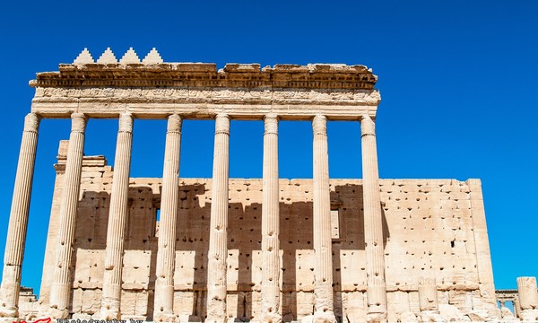 19706357925 502f66c29d o