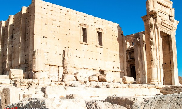 19710663891 78be516661 o