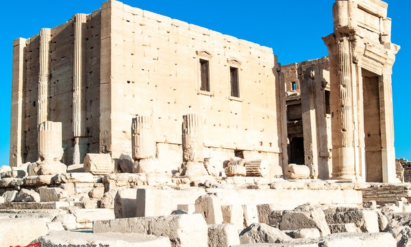 19710743781 b0d457c225 o