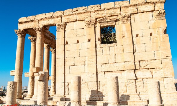 19144401003 5d0dee05f5 o