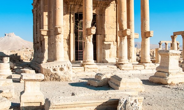 19577310688 5d2e78386b o