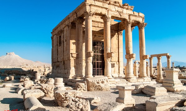 19577313278 bf436a42f4 o