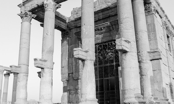 19578680459 280e9e595b o