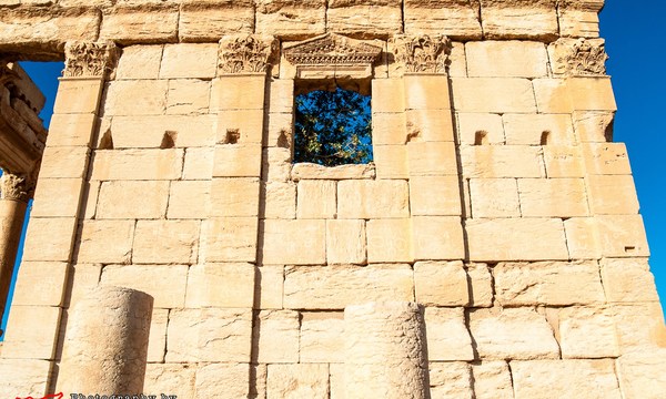 19875043841 a36e9ccb18 o