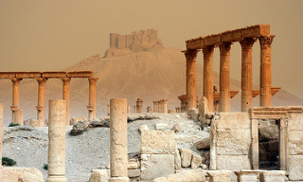 2902529628 d040fe7117 n