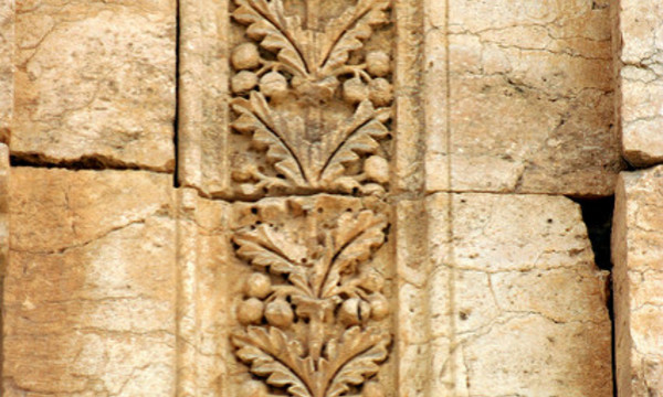 2906703773 b5a4a94d73 z