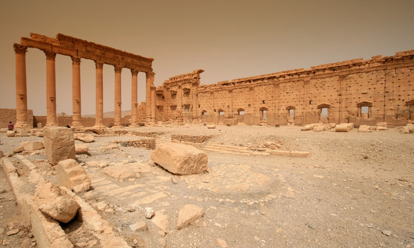 2944536698 95232c114a b