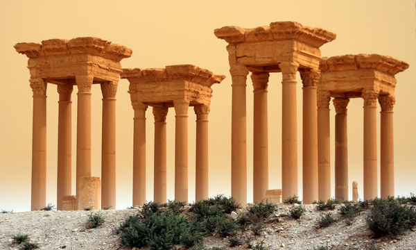 2902536378 fb4801782c b