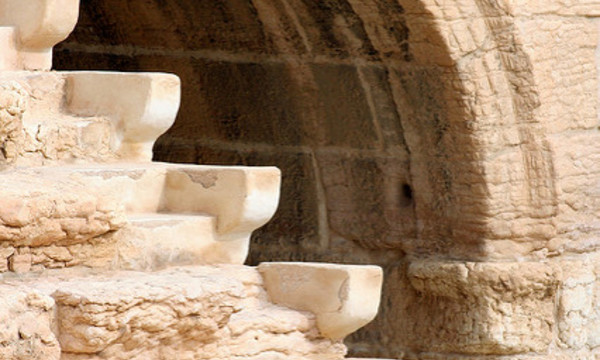 2901677969 084f068302 z