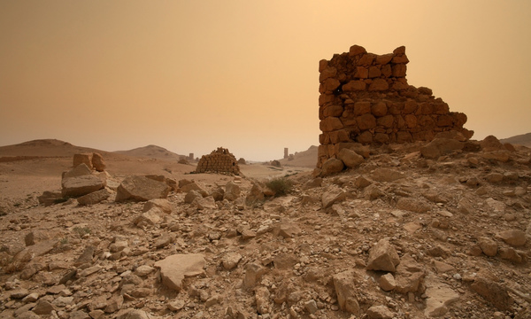 2909494836 b5dc3637db b