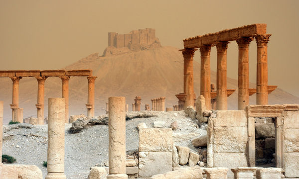 2902529628 d040fe7117 b!