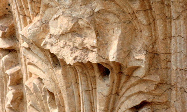 2906675031 f0775e5a02 z